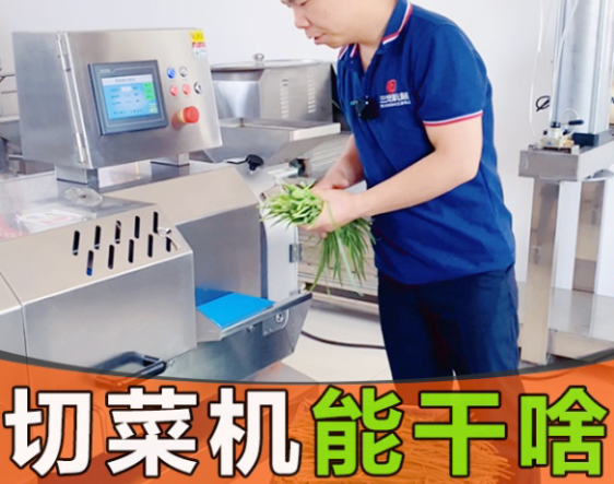 切菜機分為大中小型號，到底能切什么菜？