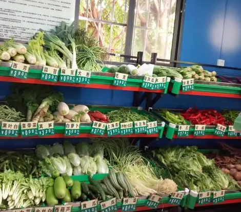 菜店需要什么樣的切菜機(jī) 菜店需要什么樣的切菜機(jī)